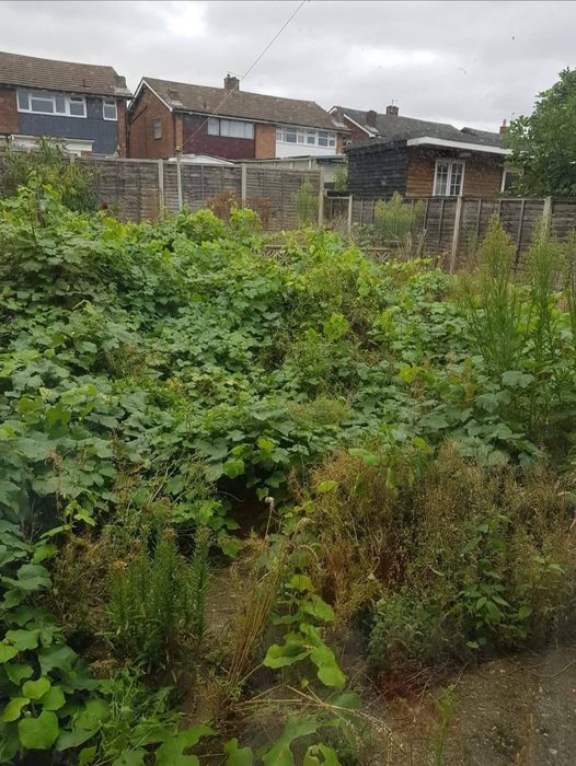 Before: Garden transformation