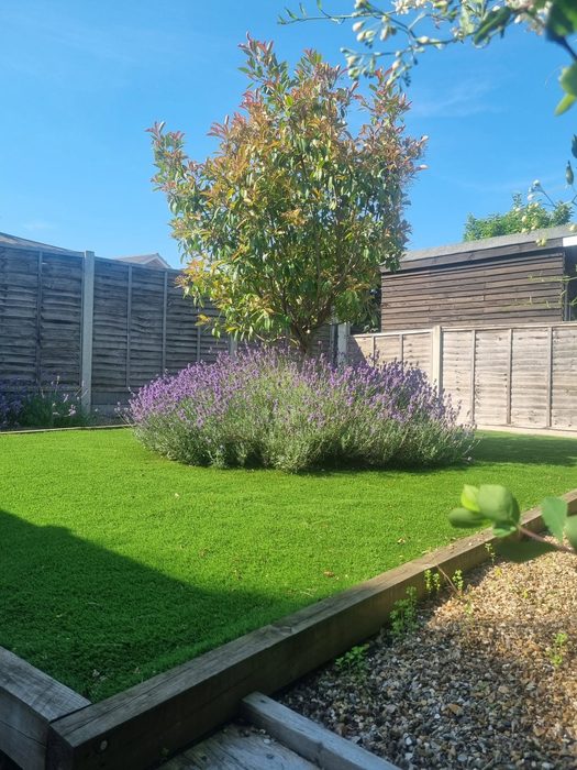 After: Garden transformation