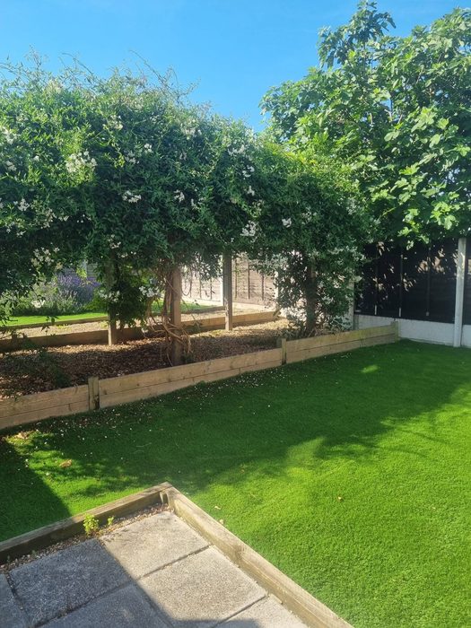 After: Garden transformation