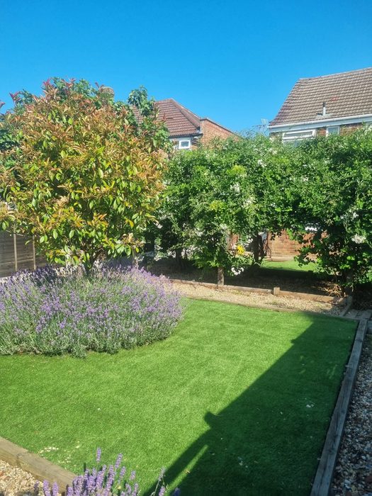 After: Garden transformation